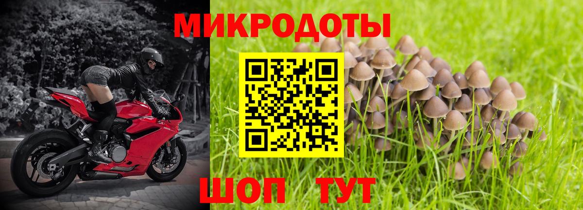Галлюциногенные грибы ЛСД Воркута