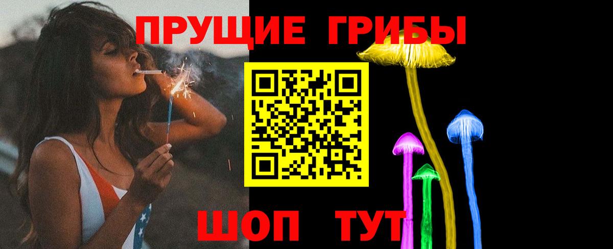 Воркута  Галлюциногенные грибы прущие грибы  что такое наркотик  Вход с VPN 